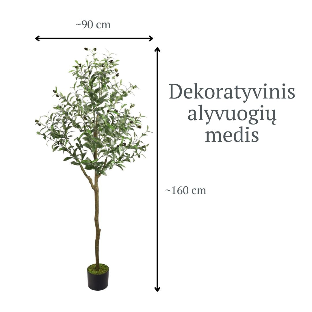 Dekoratyvinis ALYVMEDIS