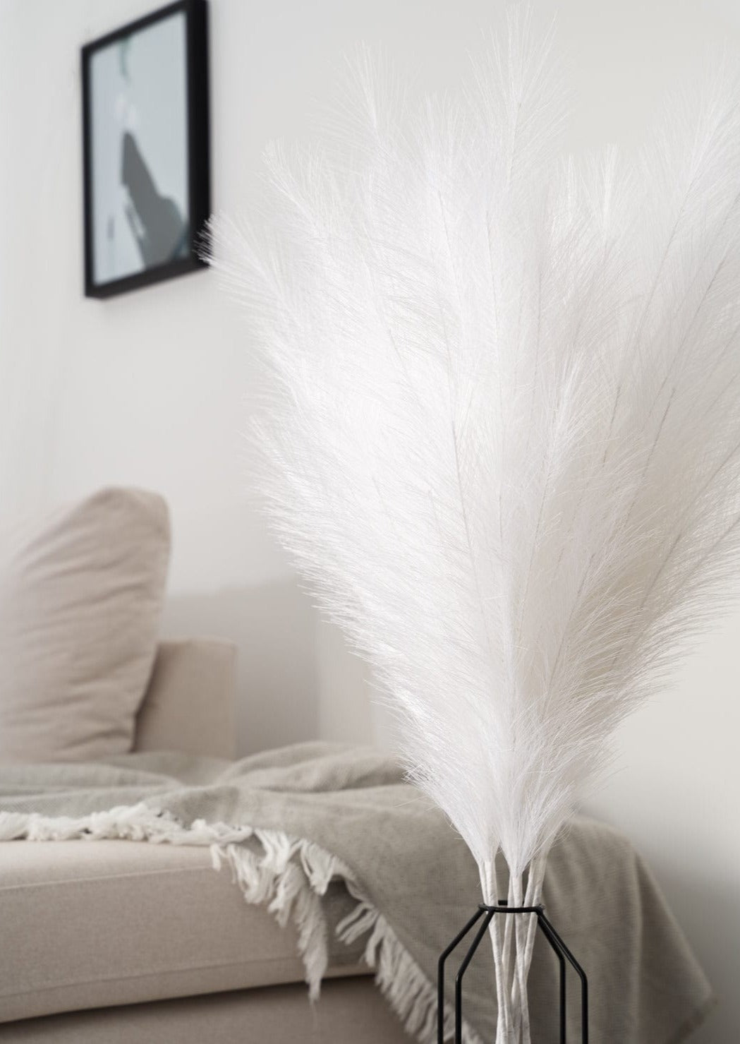 dekorantas-smilgos-plume-pampas