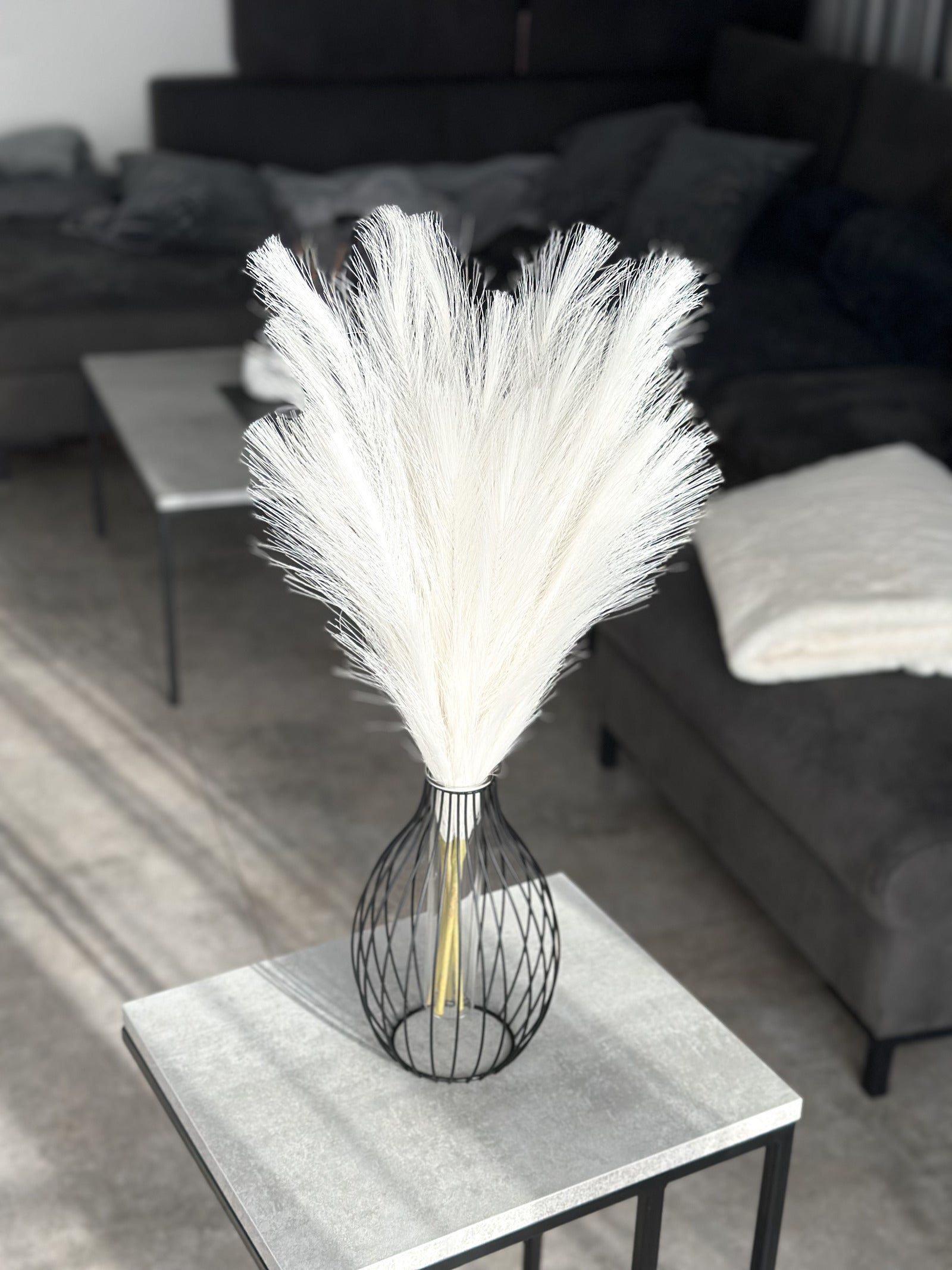 Dekoratyvinės Pūkuotos Smilgos - Plume Pampas