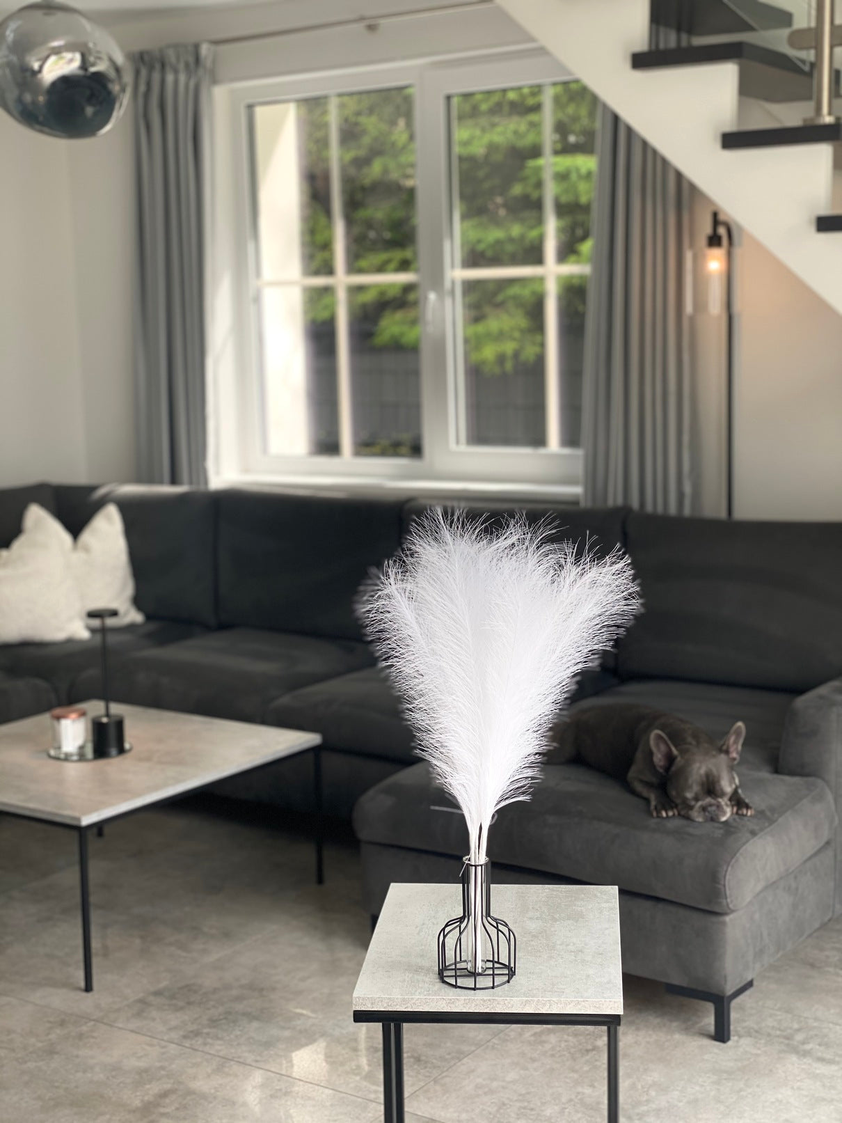 Smilgos +VAZA NEMOKAMAI!