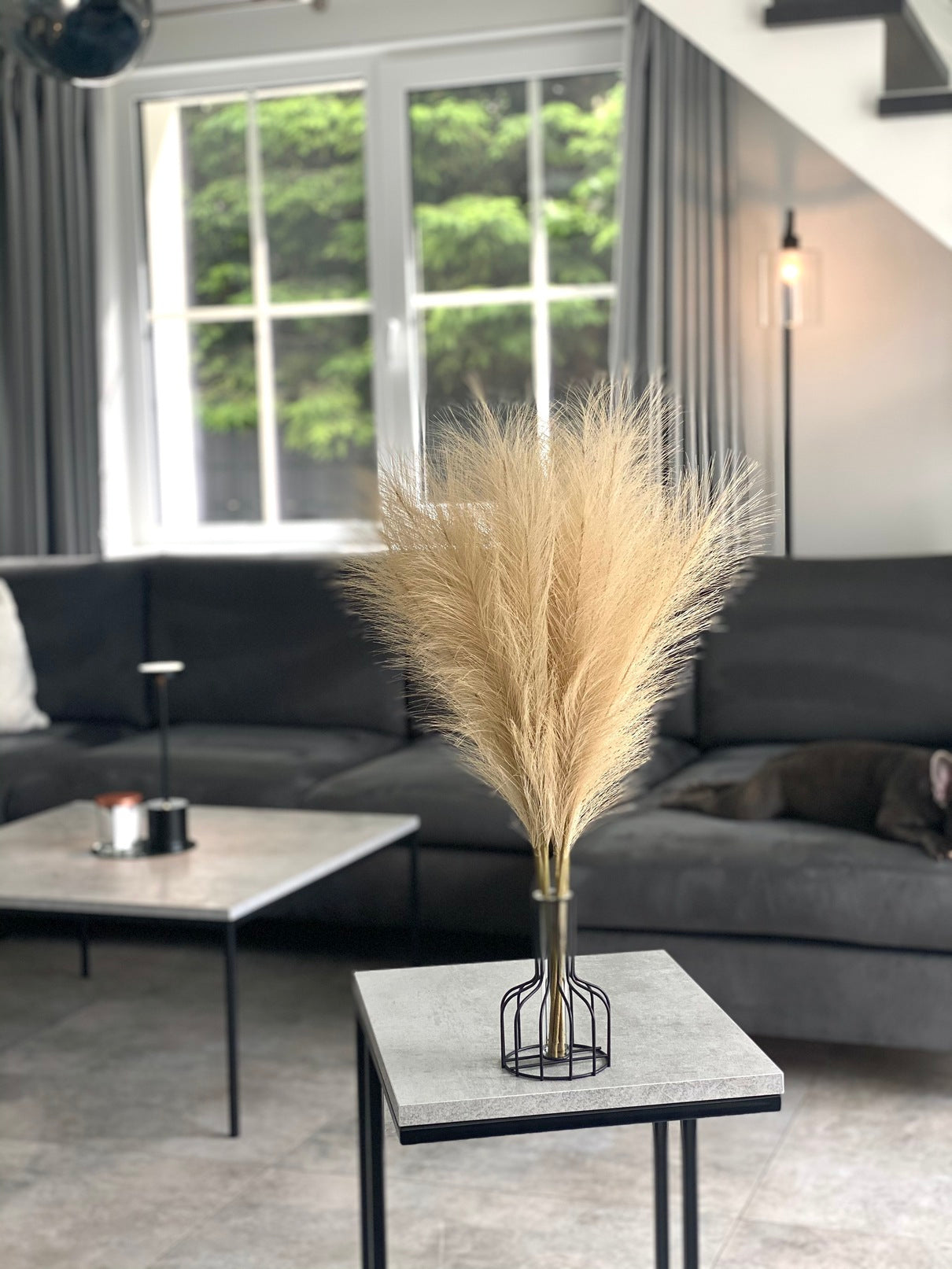 Smilgos +VAZA NEMOKAMAI!