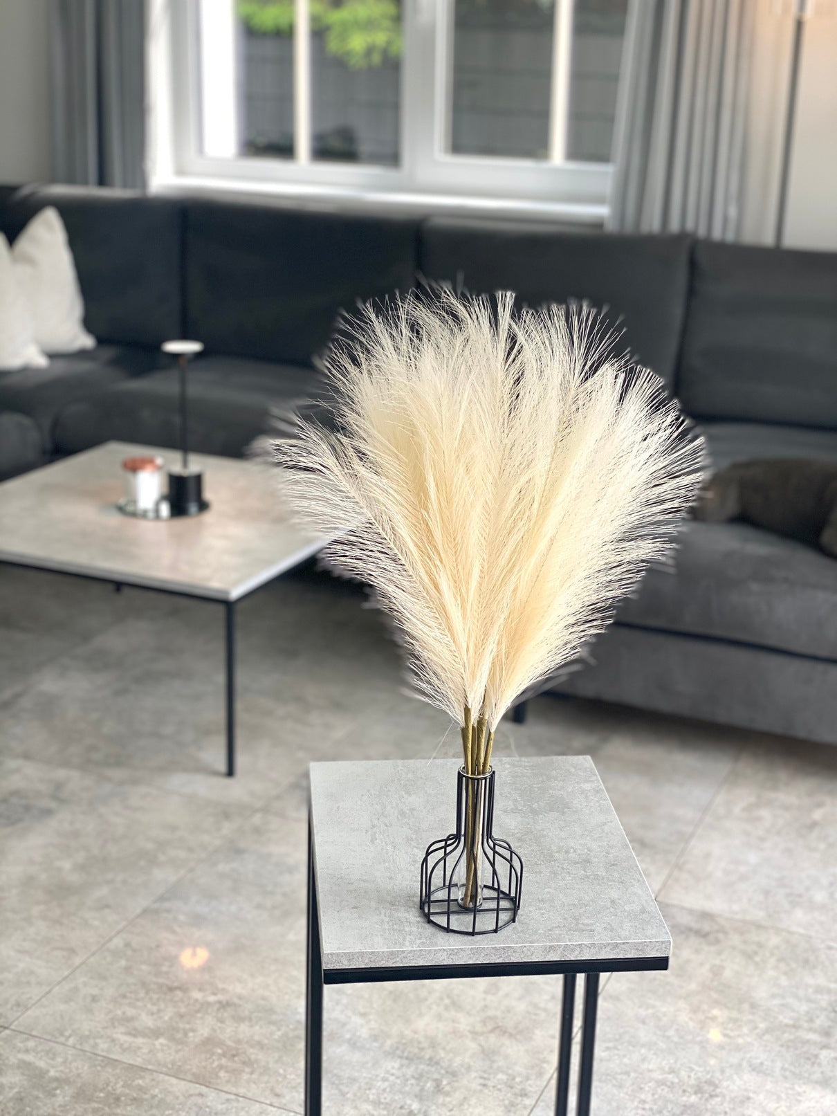 Smilgos +VAZA NEMOKAMAI!