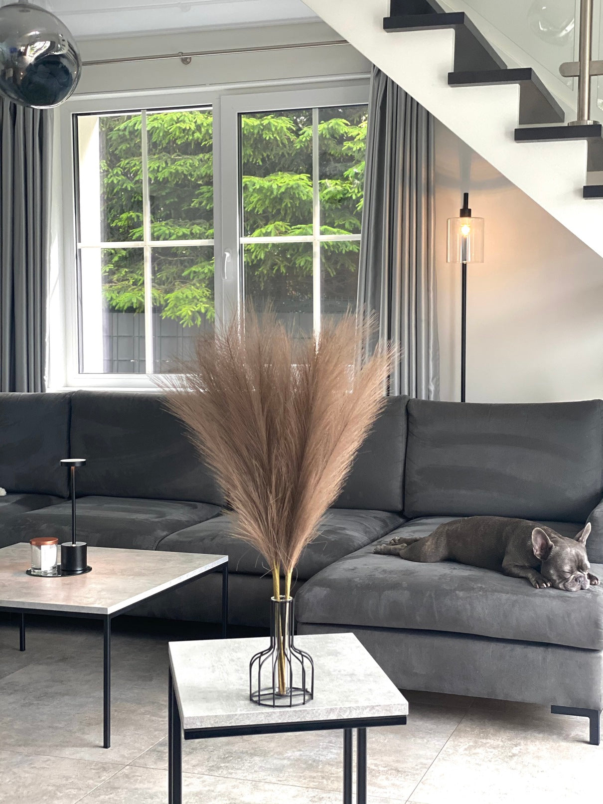 Smilgos +VAZA NEMOKAMAI!