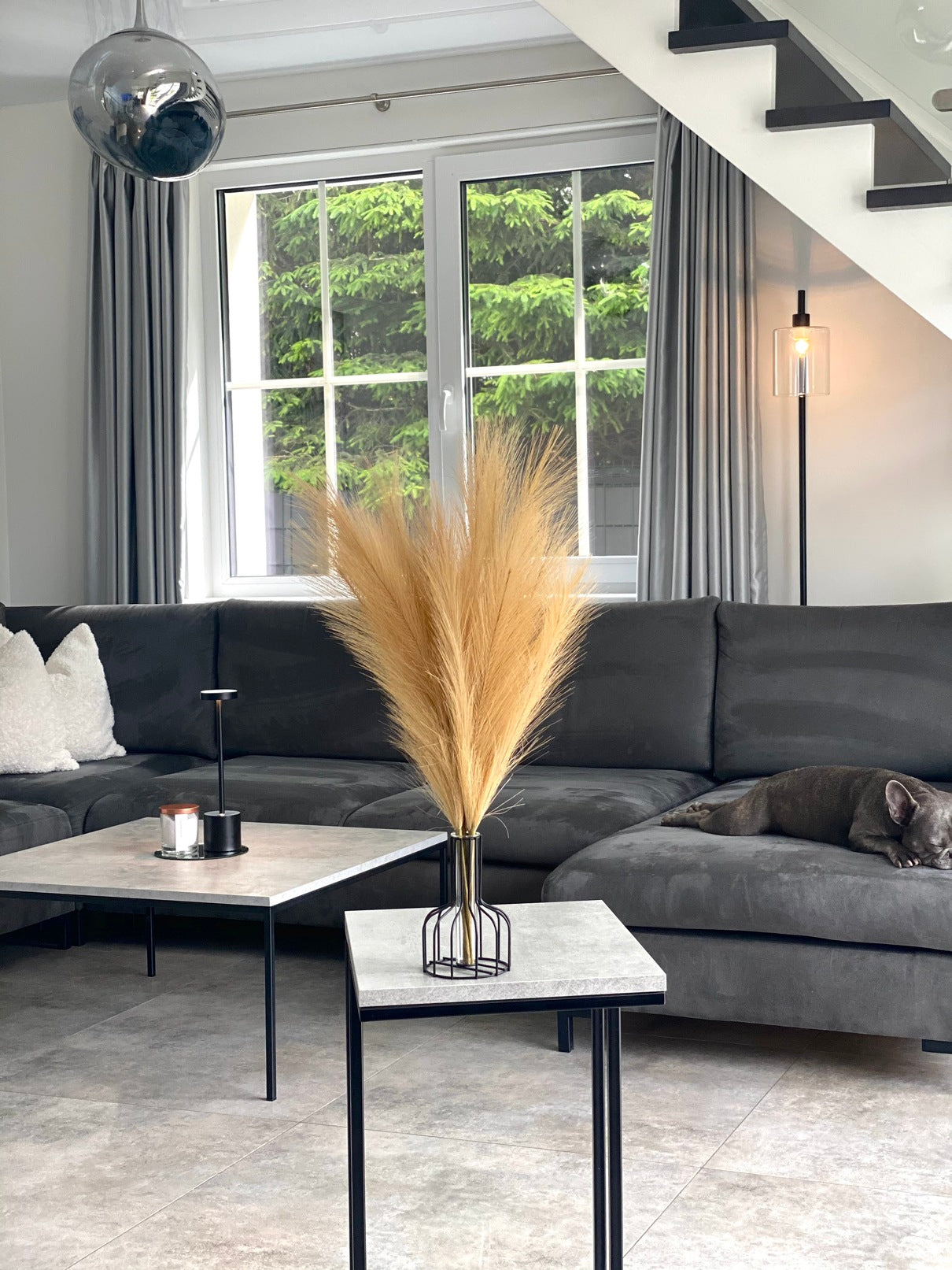 Smilgos +VAZA NEMOKAMAI!