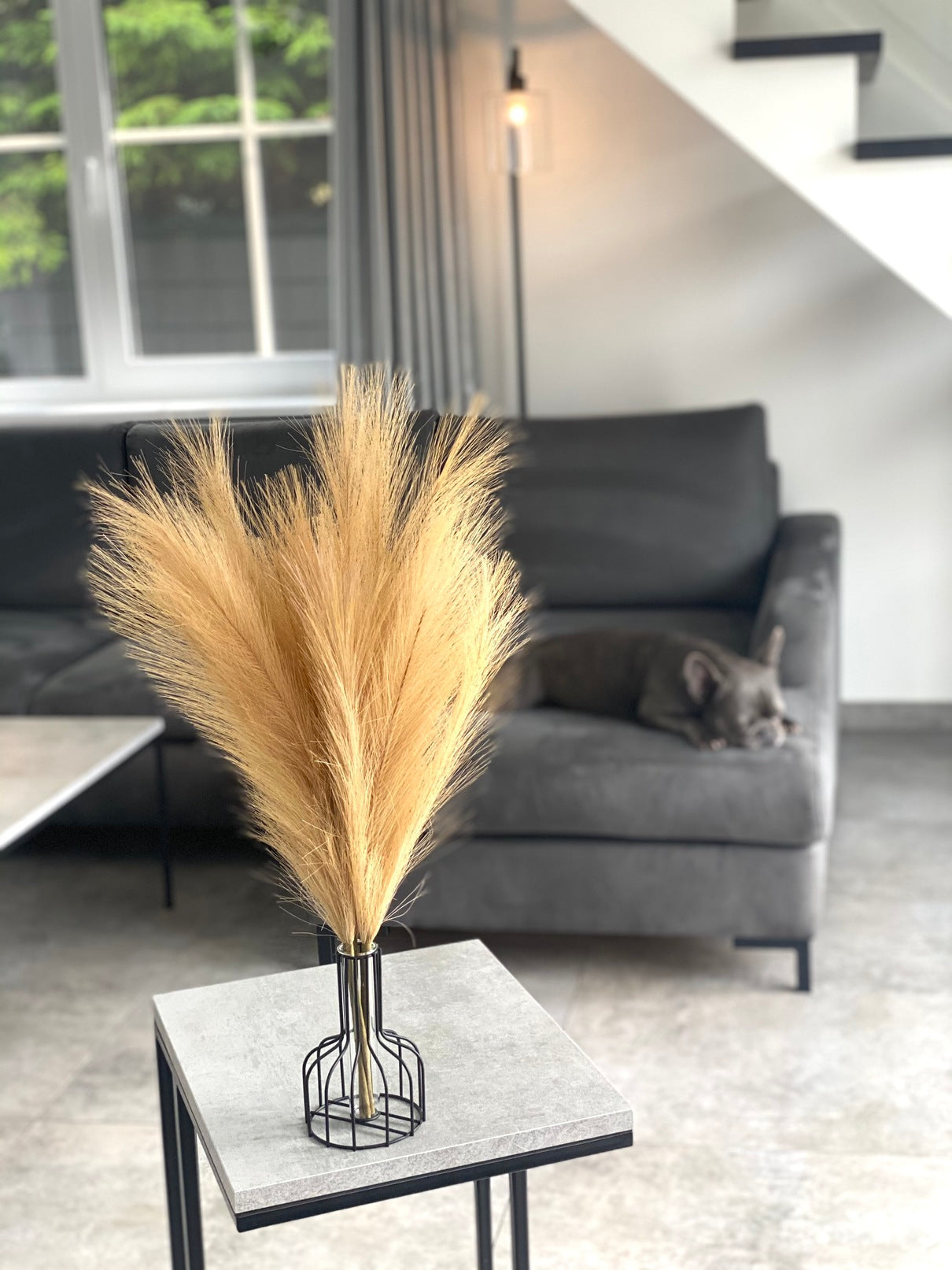 Smilgos +VAZA NEMOKAMAI!