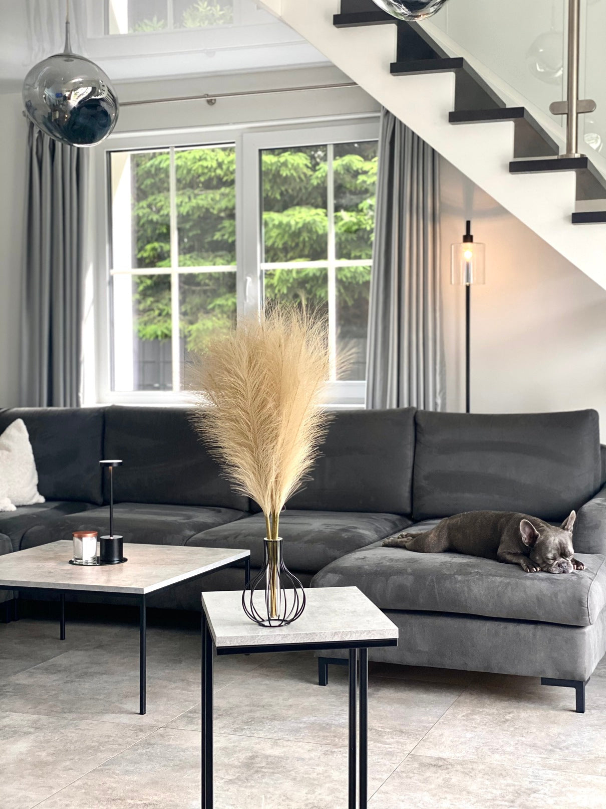 Smilgos +VAZA NEMOKAMAI!