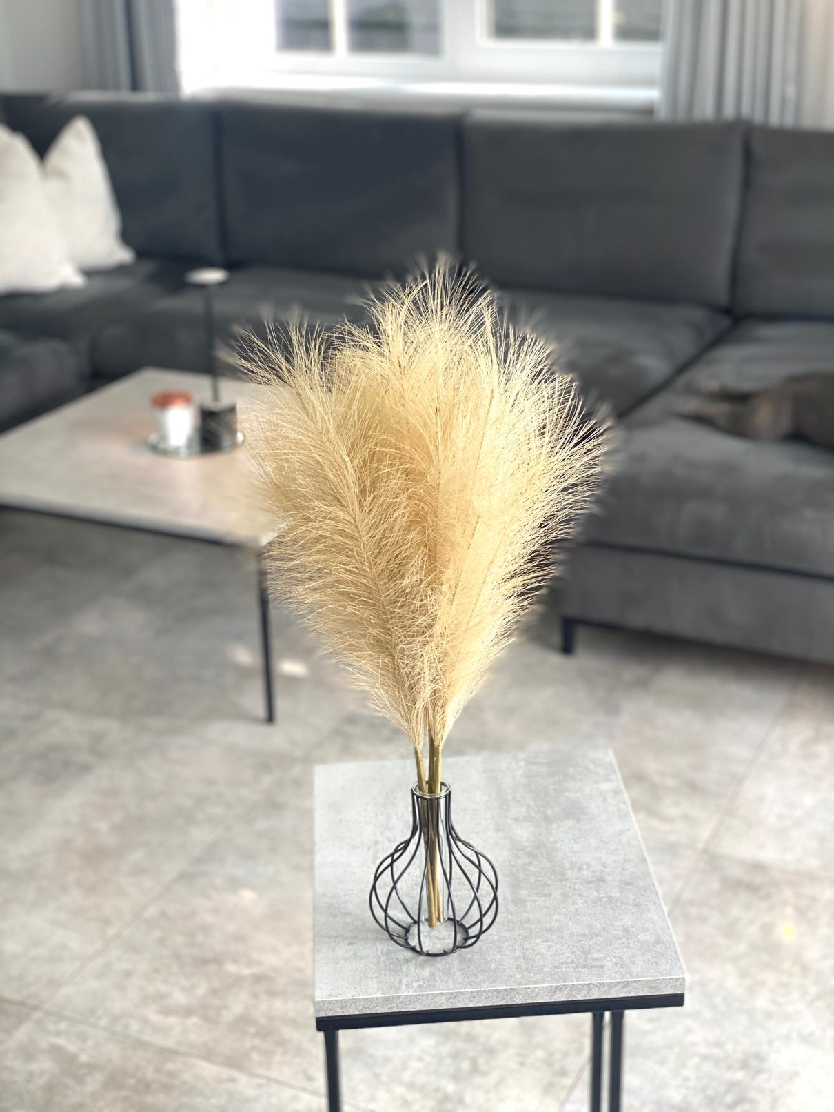 Smilgos +VAZA NEMOKAMAI!