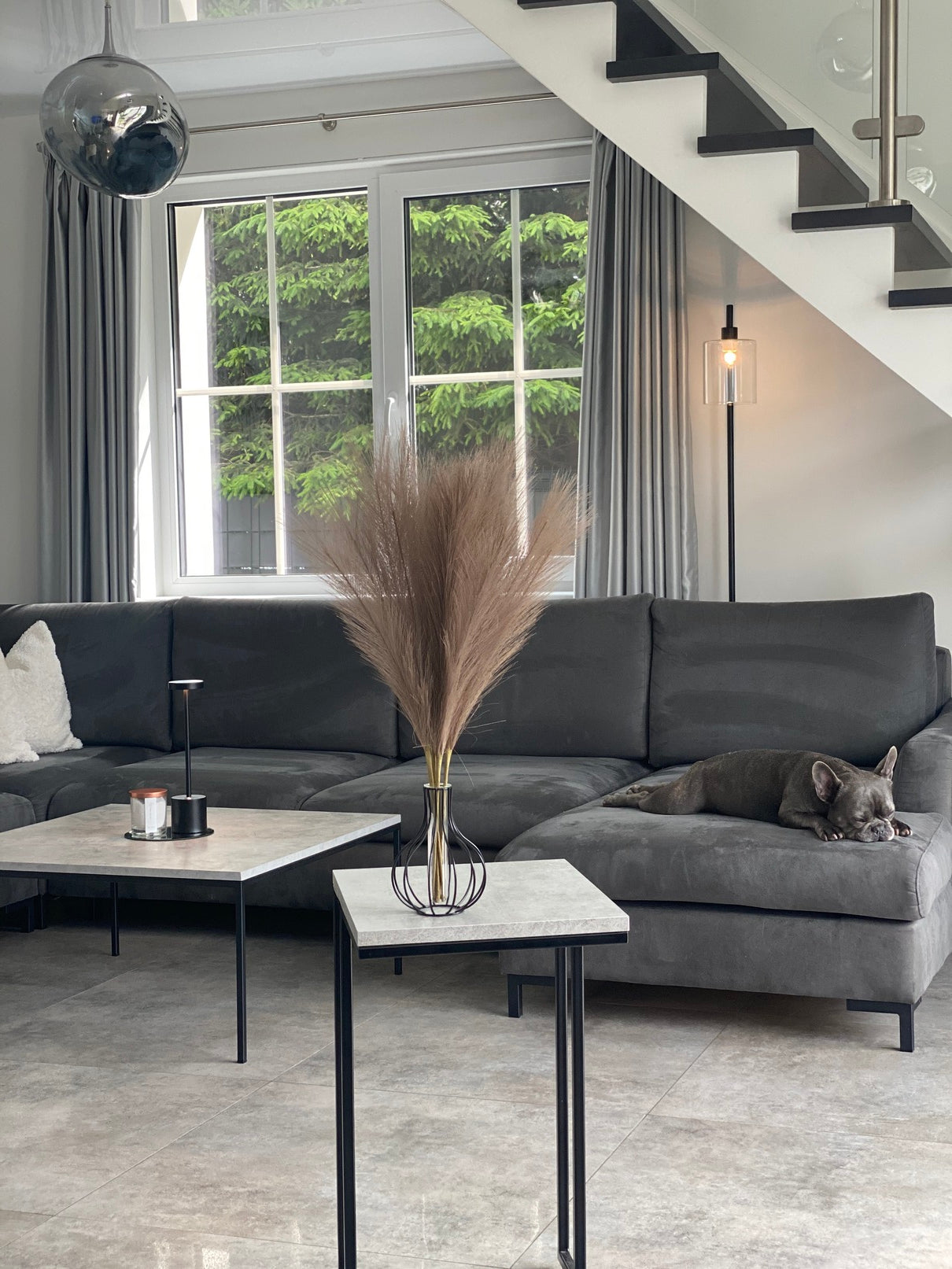 Smilgos +VAZA NEMOKAMAI!