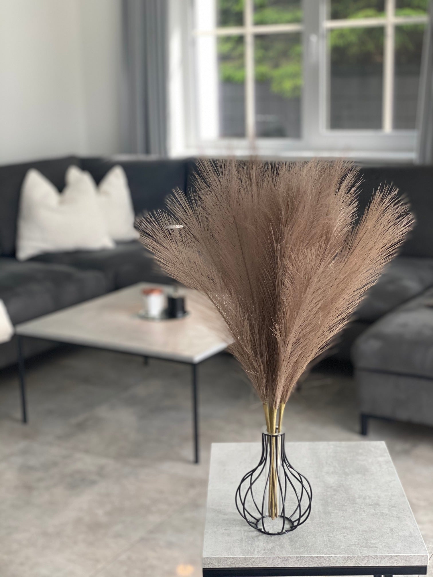 Smilgos +VAZA NEMOKAMAI!