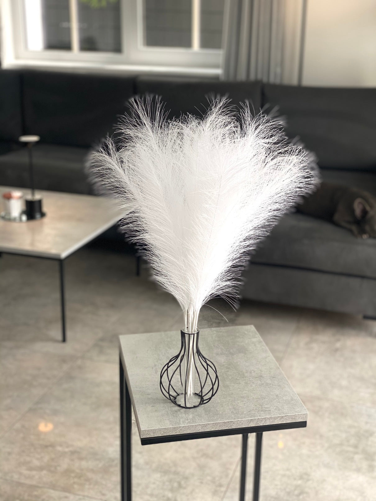 Smilgos +VAZA NEMOKAMAI!