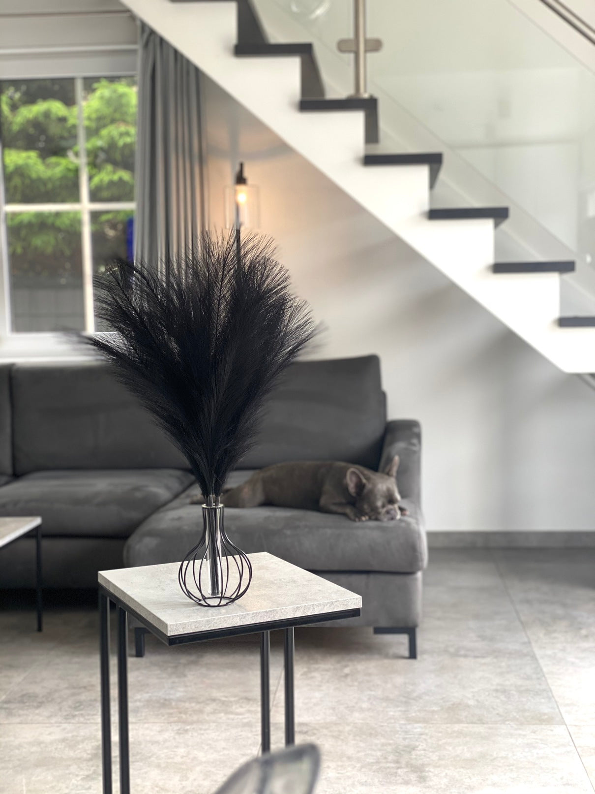 Smilgos +VAZA NEMOKAMAI!