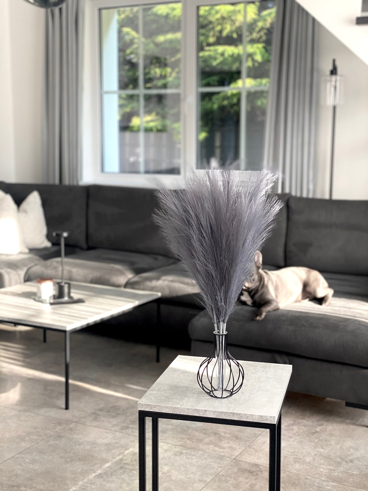 Smilgos +VAZA NEMOKAMAI!