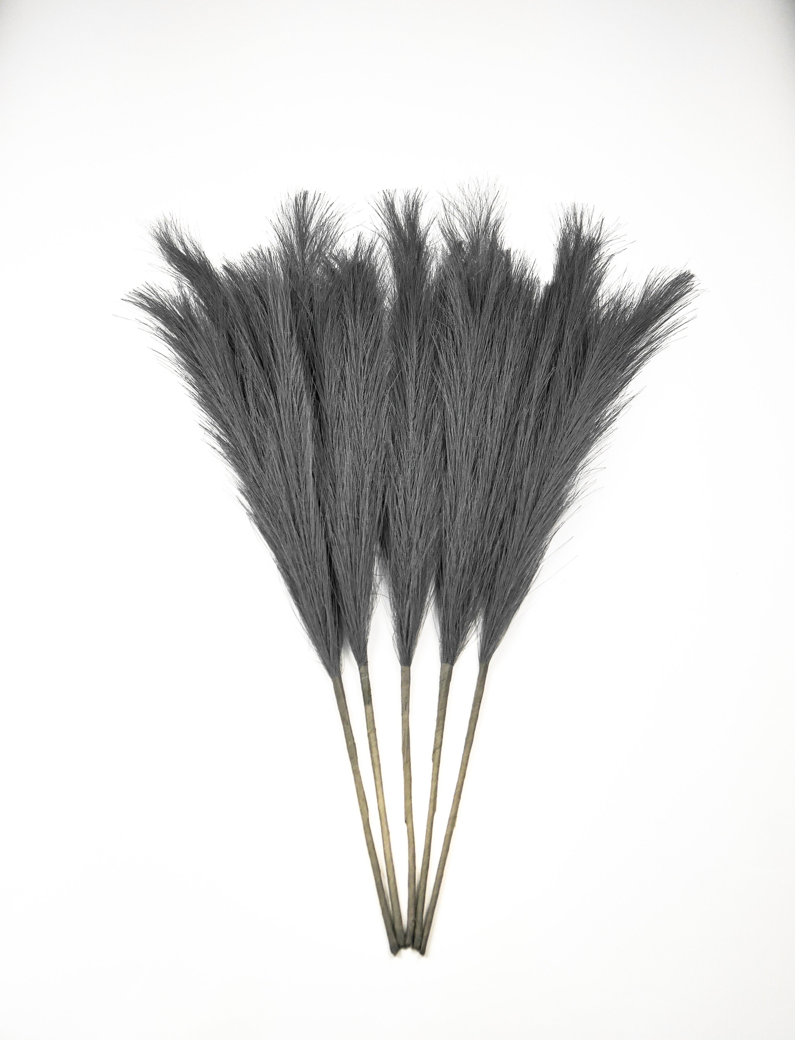 Smilgos +VAZA NEMOKAMAI!