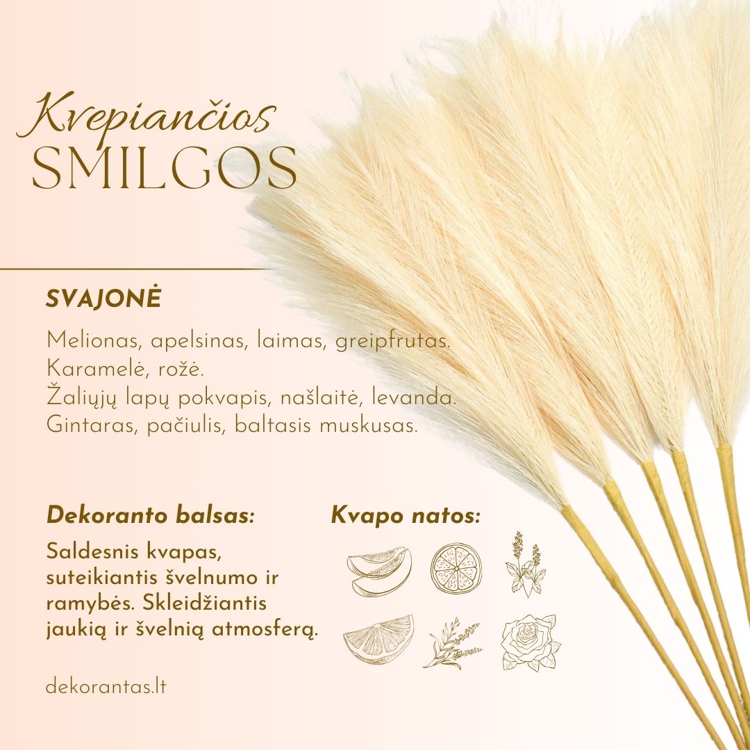Kvepiančios Dekoratyvinės Pūkuotos Smilgos