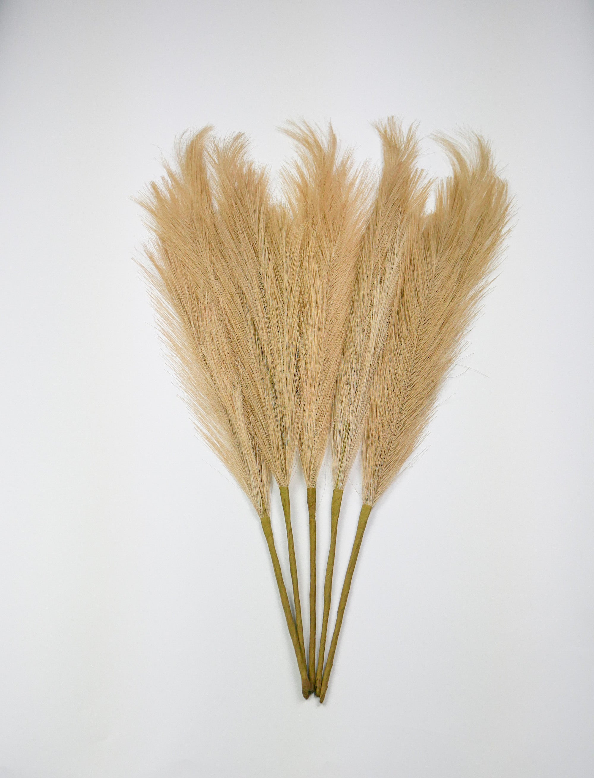 Smilgos +VAZA NEMOKAMAI!