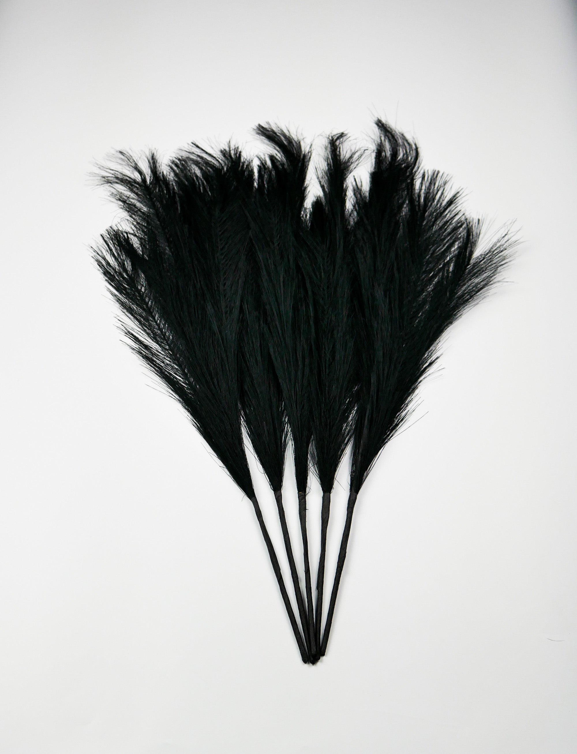 Smilgos +VAZA NEMOKAMAI!