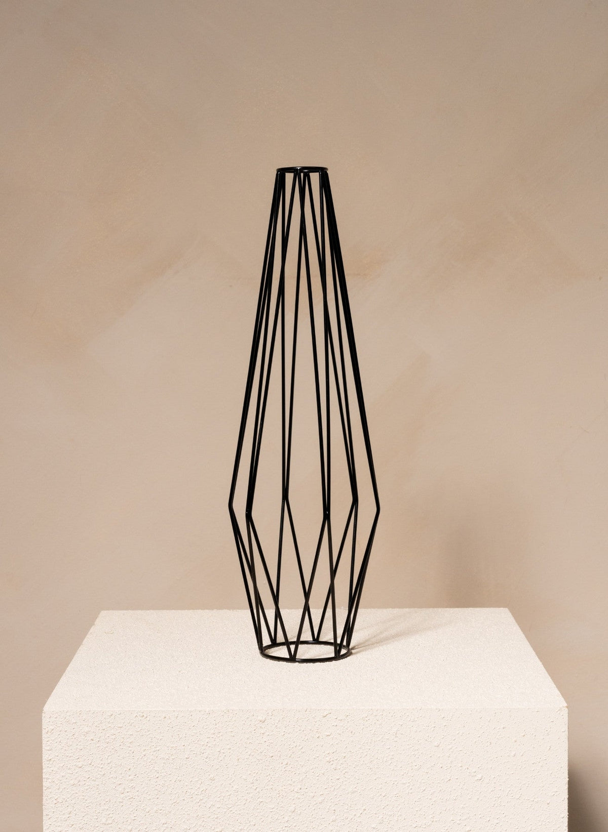 Aukšta Metalinė Juoda vaza | LINEA