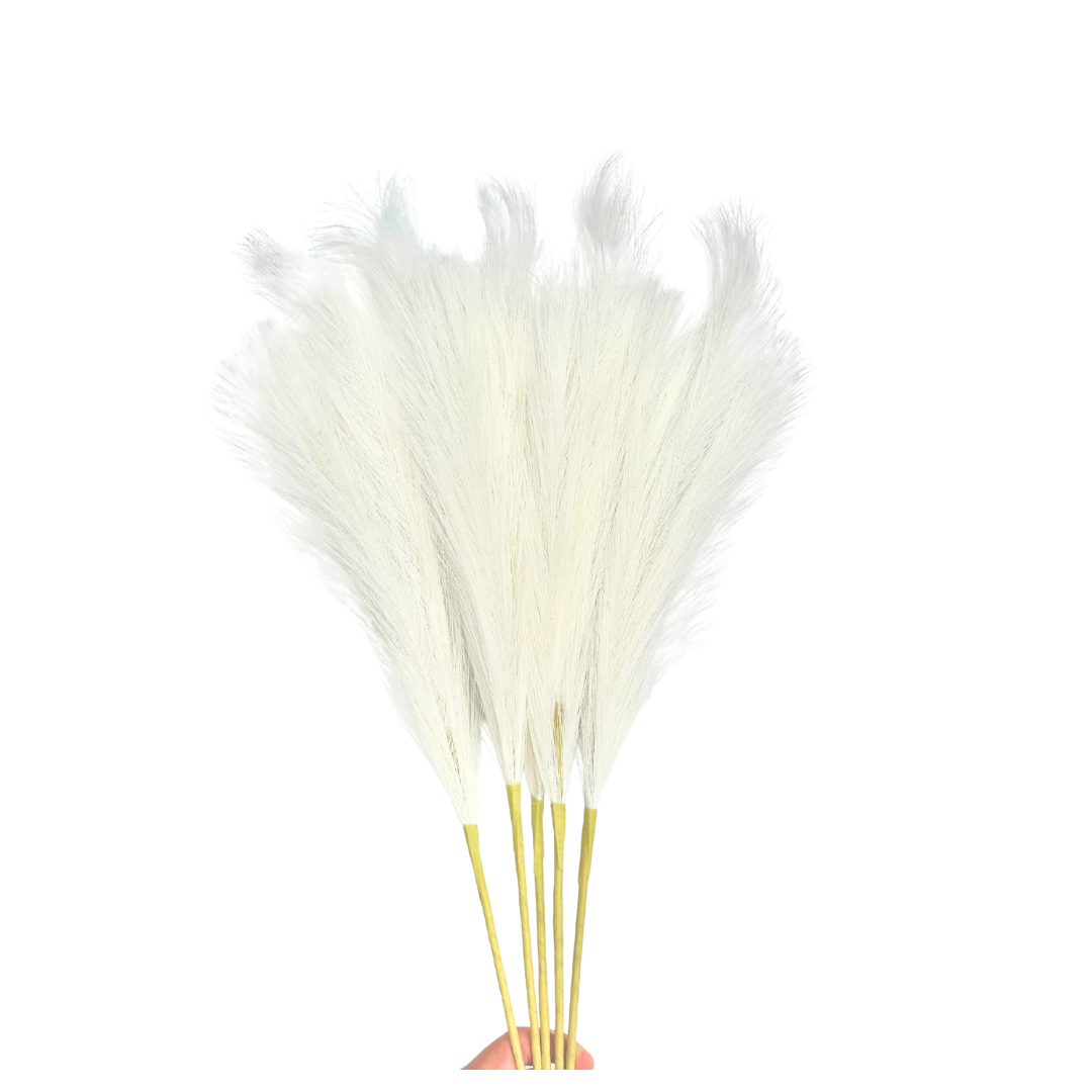 Dekoratyvinės Pūkuotos Smilgos - Plume Pampas