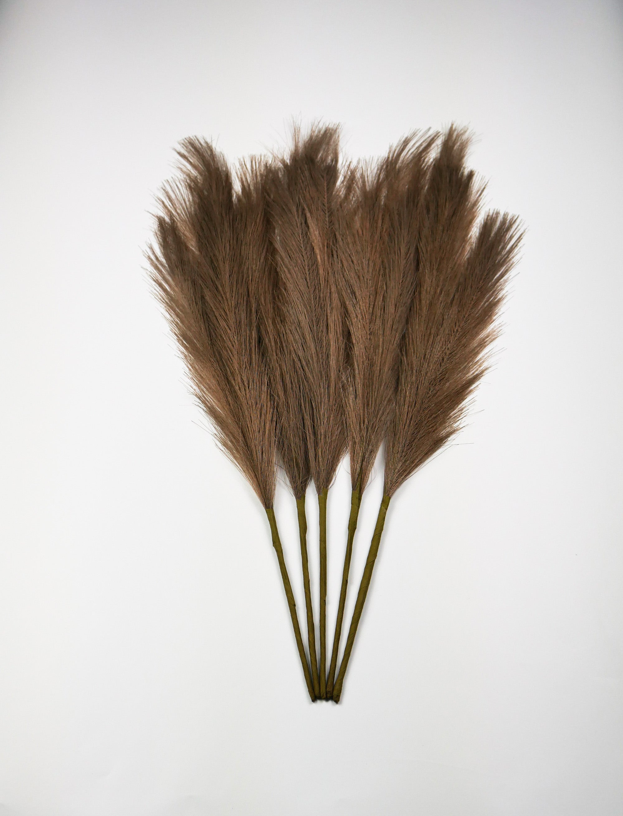 Smilgos +VAZA NEMOKAMAI!