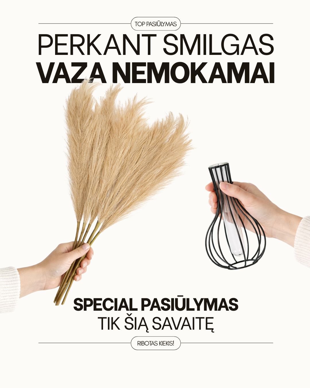 Smilgos +VAZA NEMOKAMAI!