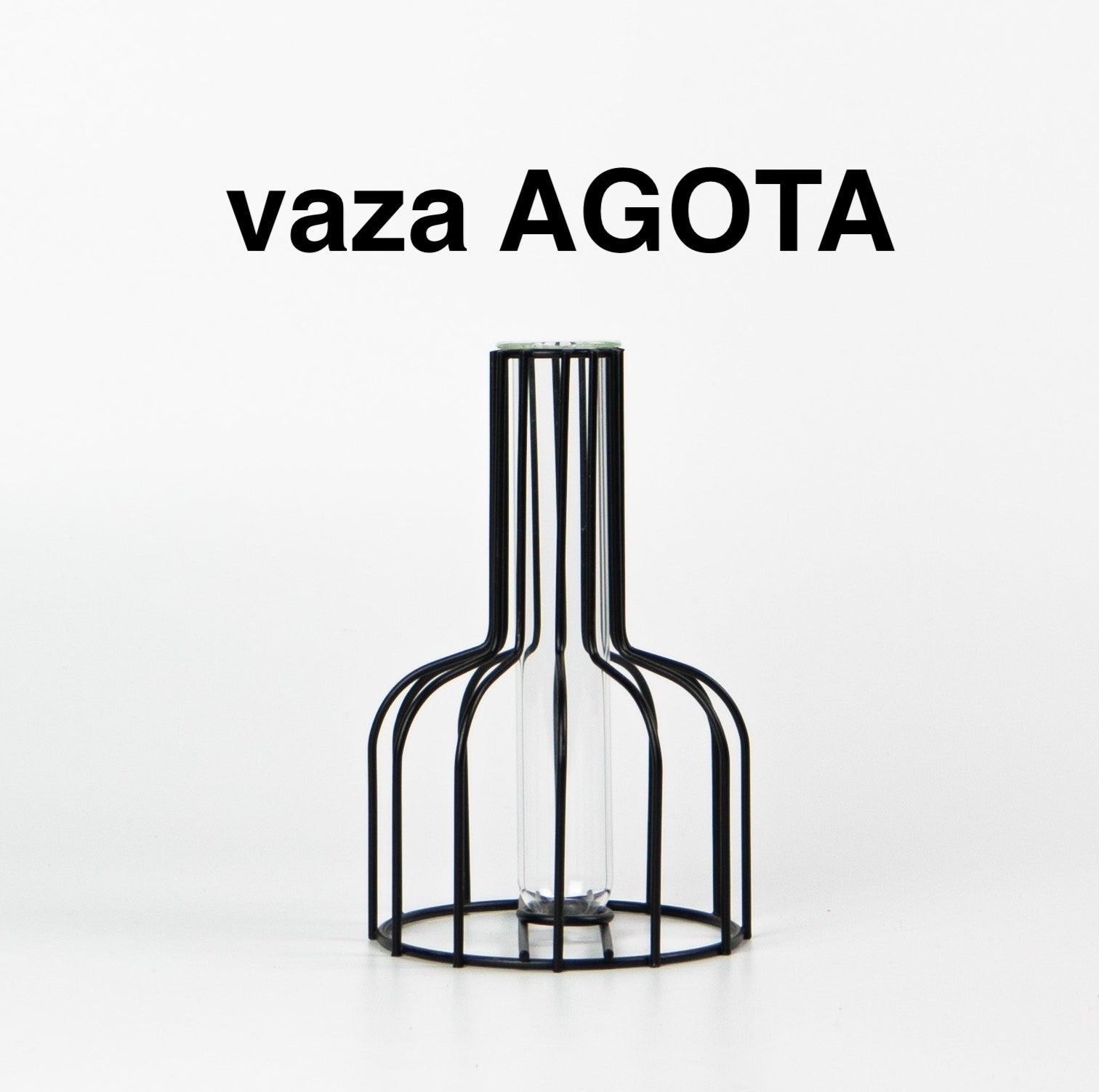 Smilgos +VAZA NEMOKAMAI!