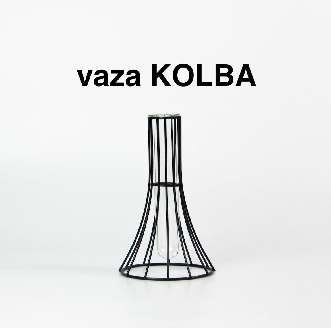 Smilgos +VAZA NEMOKAMAI!