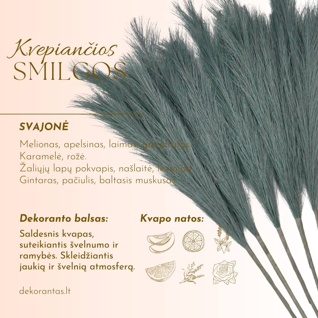 Kvepiančios Dekoratyvinės Pūkuotos Smilgos