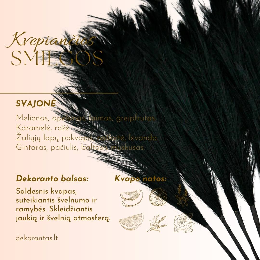 Kvepiančios Dekoratyvinės Pūkuotos Smilgos