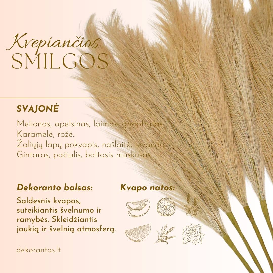 Kvepiančios Dekoratyvinės Pūkuotos Smilgos