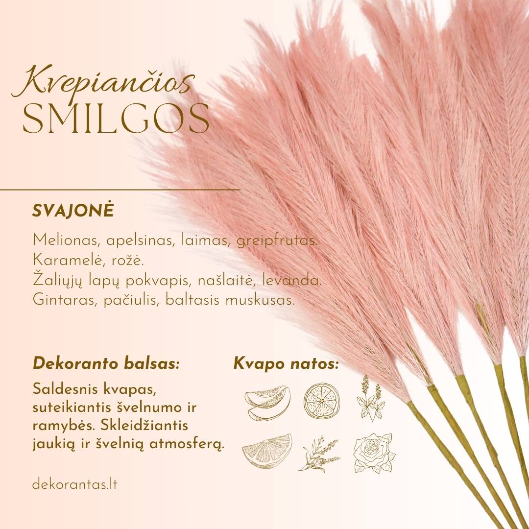Kvepiančios Dekoratyvinės Pūkuotos Smilgos