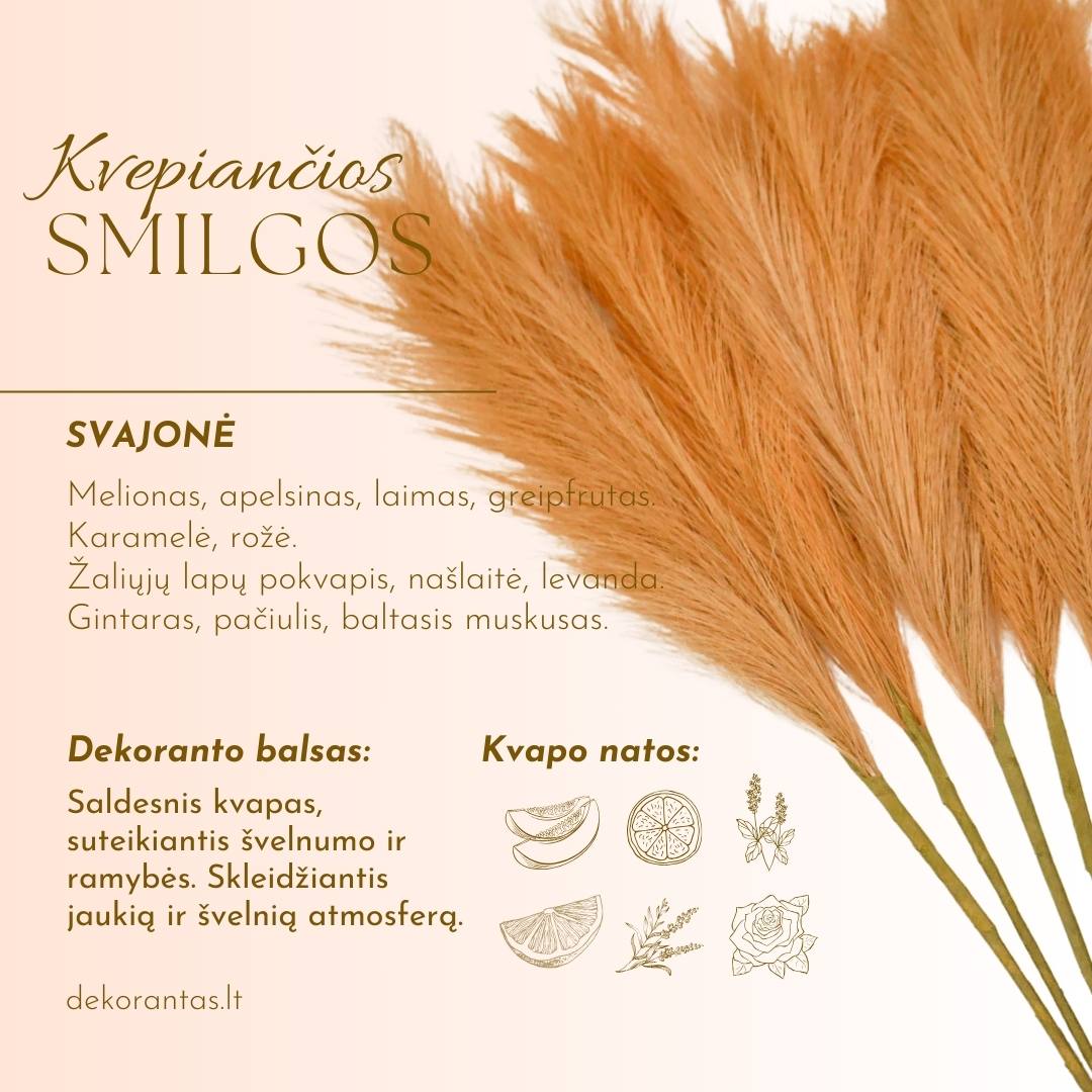 Kvepiančios Dekoratyvinės Pūkuotos Smilgos