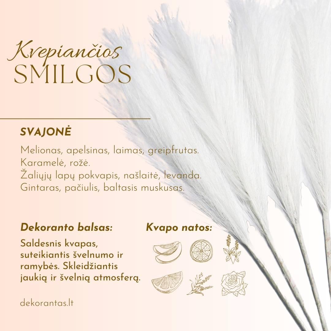 Kvepiančios Dekoratyvinės Pūkuotos Smilgos