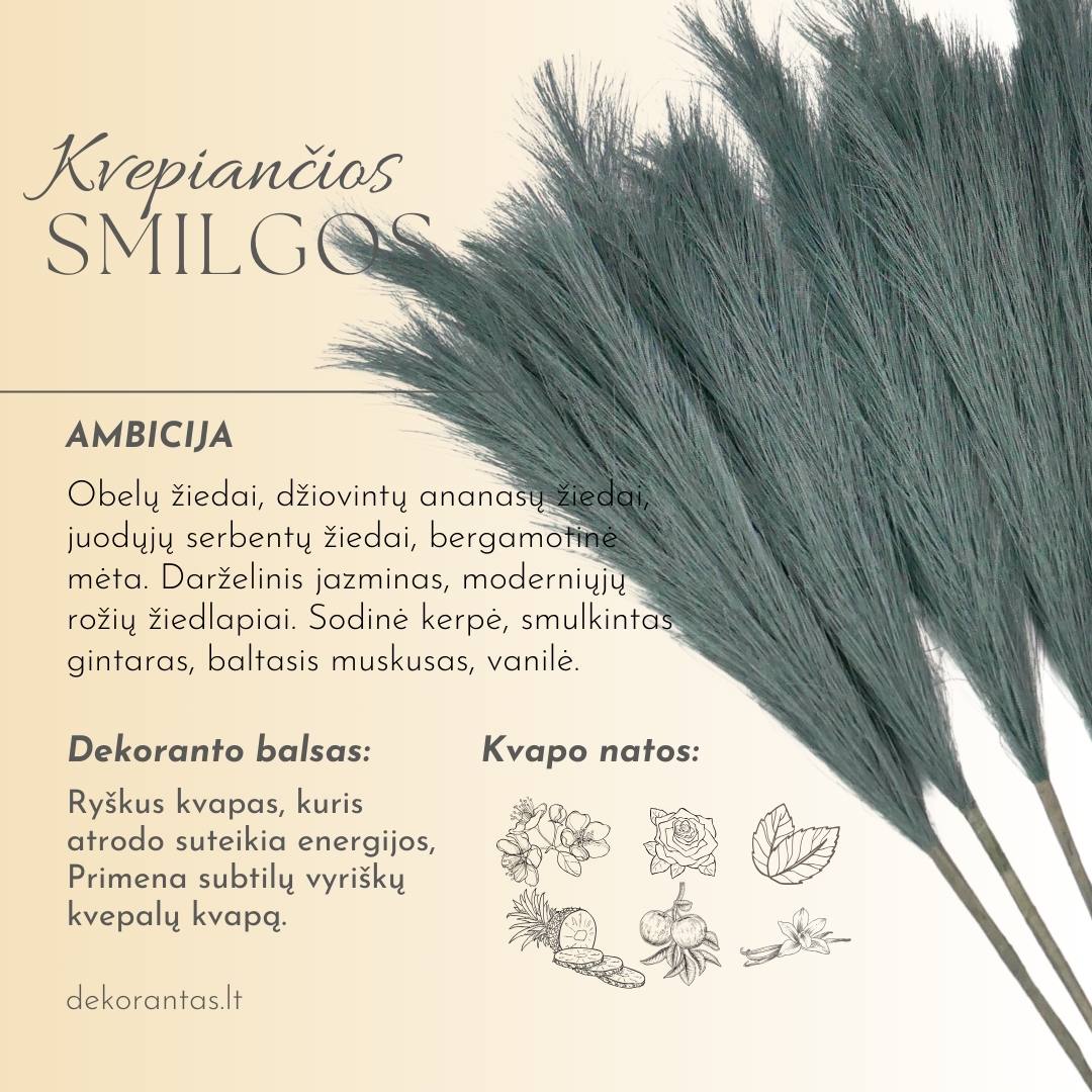 Kvepiančios Dekoratyvinės Pūkuotos Smilgos