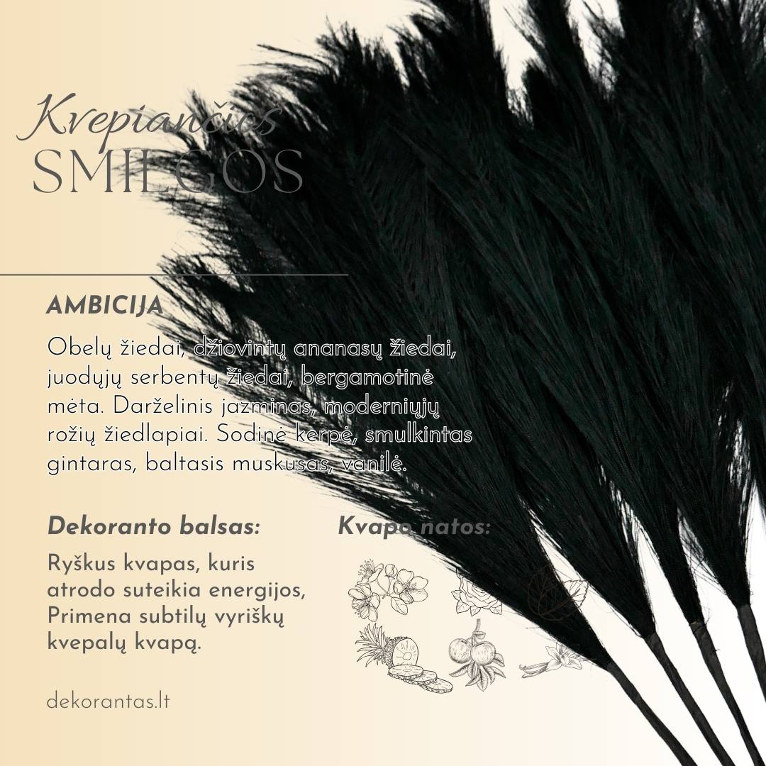 Kvepiančios Dekoratyvinės Pūkuotos Smilgos