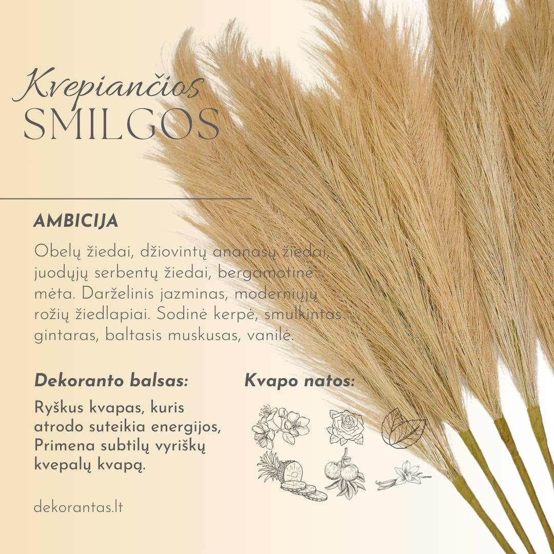 Kvepiančios Dekoratyvinės Pūkuotos Smilgos