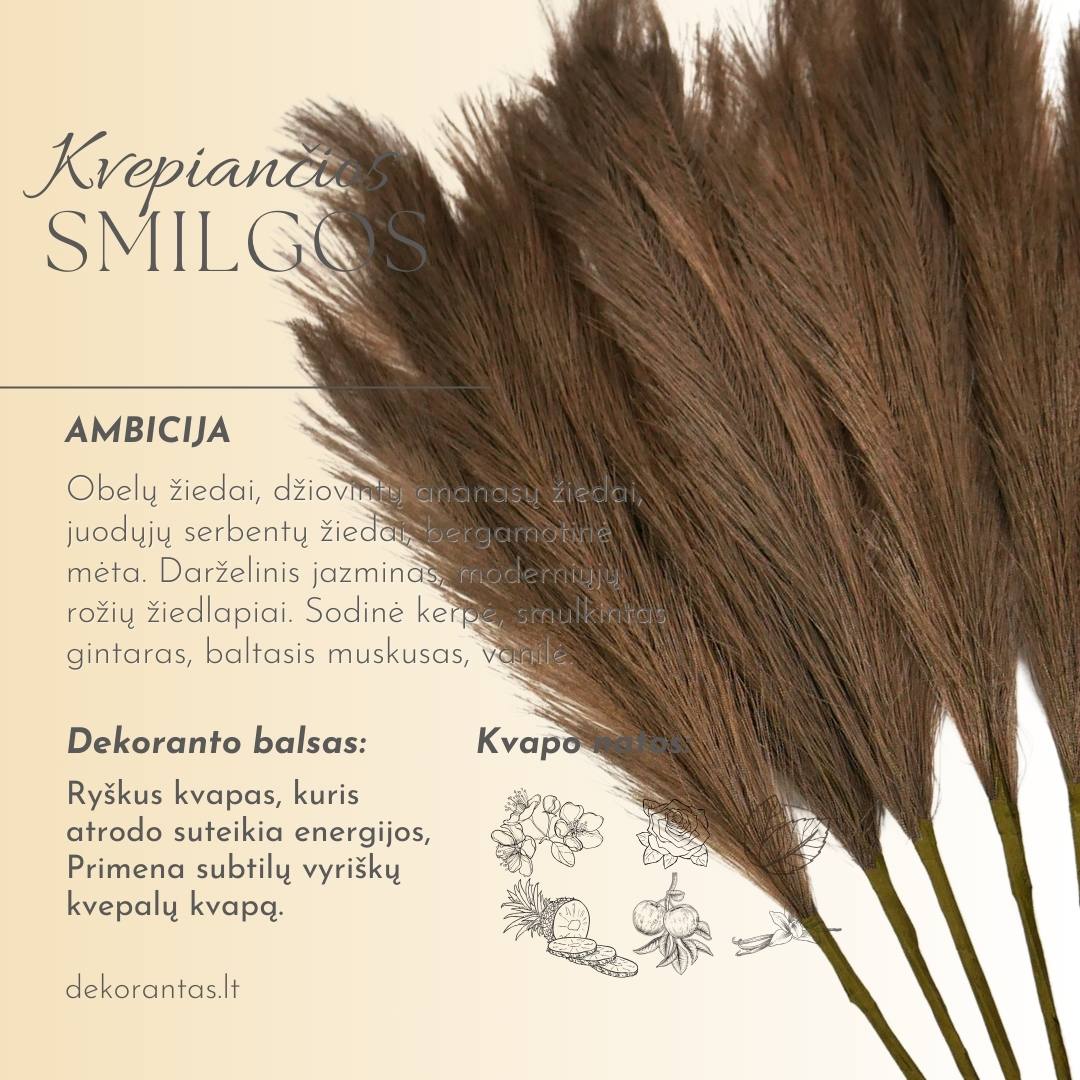 Kvepiančios Dekoratyvinės Pūkuotos Smilgos