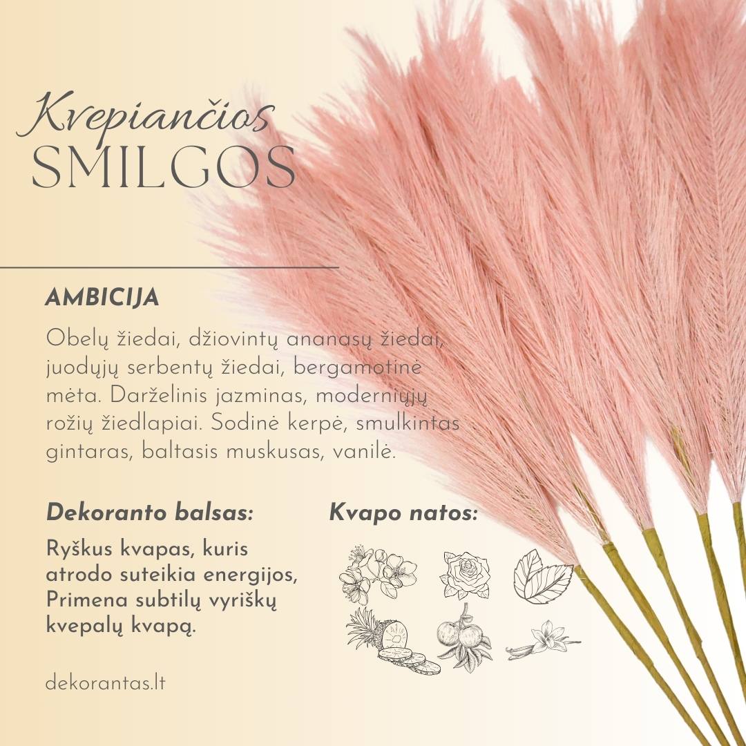 Kvepiančios Dekoratyvinės Pūkuotos Smilgos