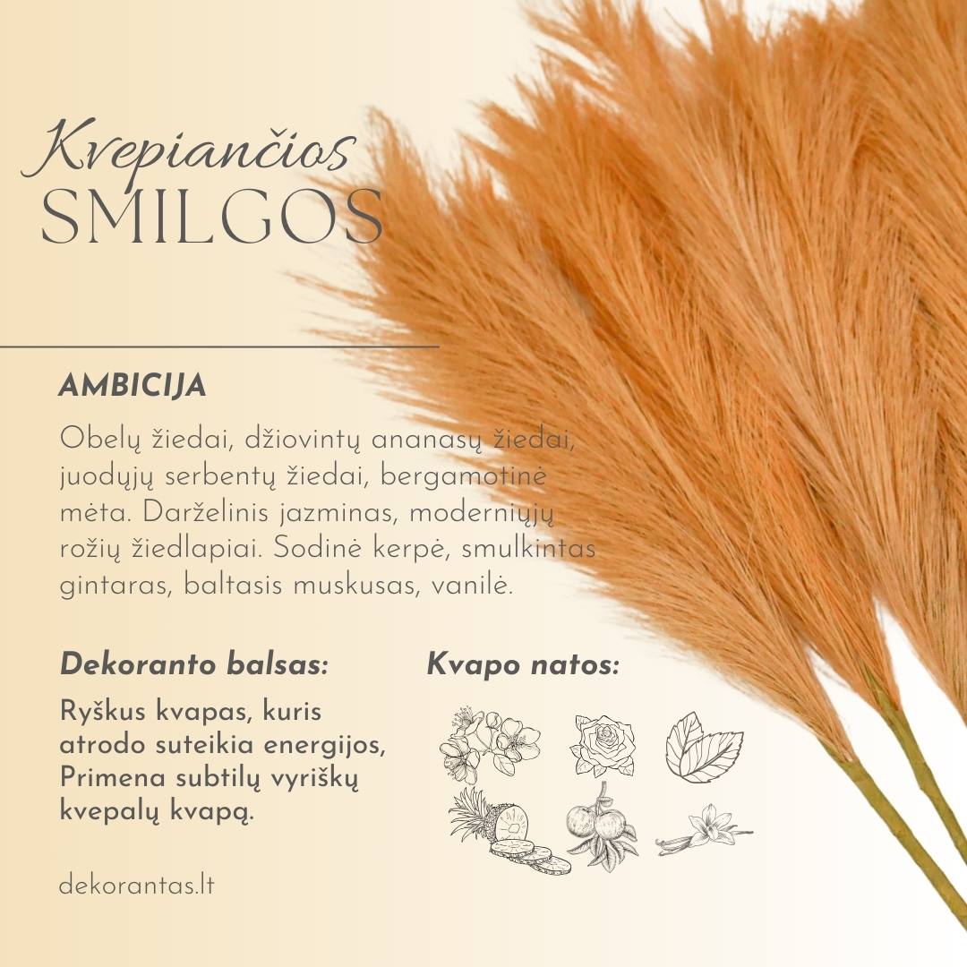 Kvepiančios Dekoratyvinės Pūkuotos Smilgos