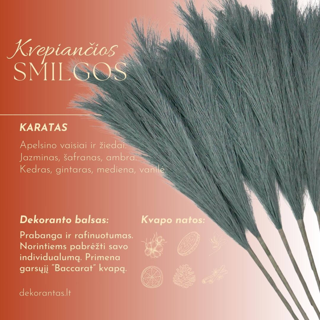 Kvepiančios Dekoratyvinės Pūkuotos Smilgos