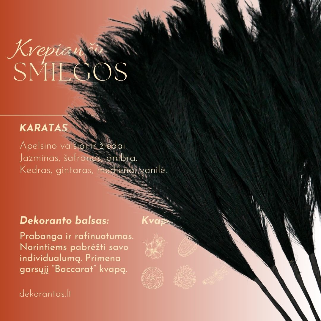 Kvepiančios Dekoratyvinės Pūkuotos Smilgos