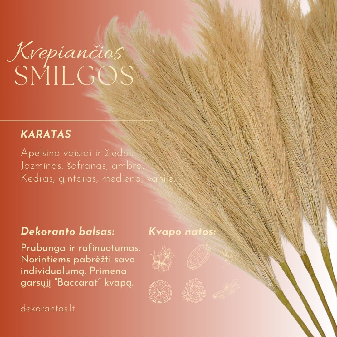 Kvepiančios Dekoratyvinės Pūkuotos Smilgos