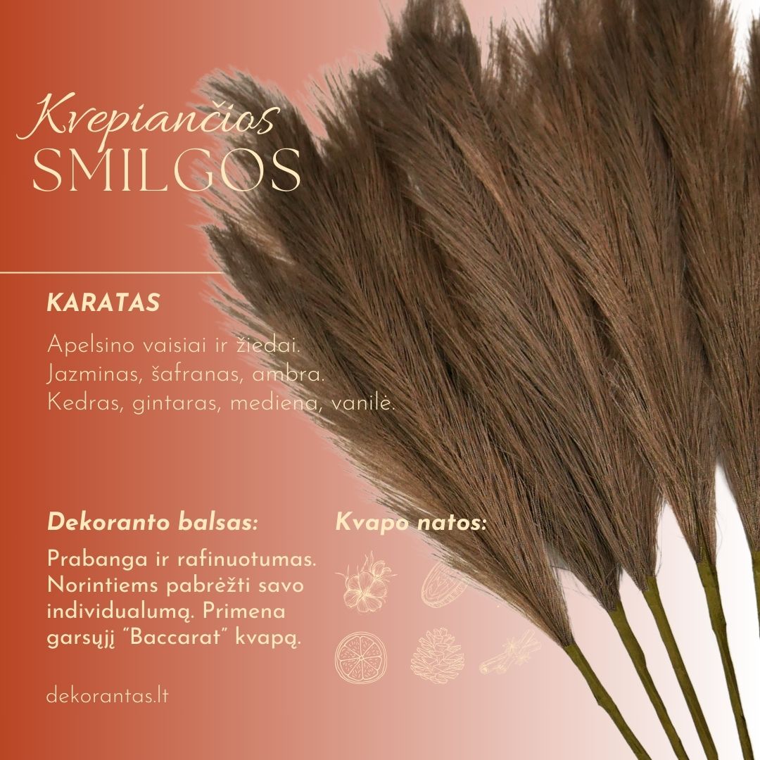 Kvepiančios Dekoratyvinės Pūkuotos Smilgos