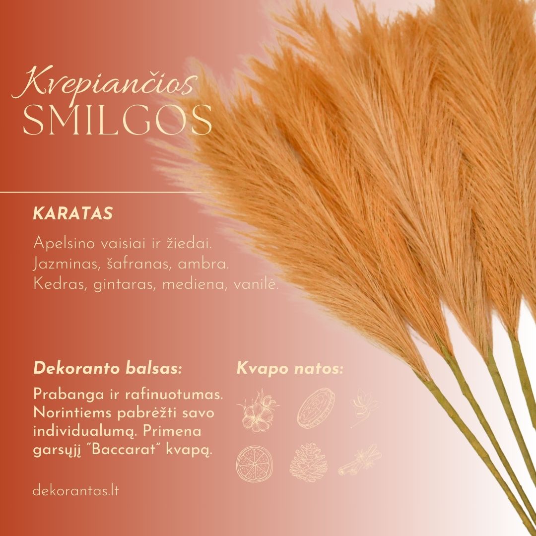 Kvepiančios Dekoratyvinės Pūkuotos Smilgos