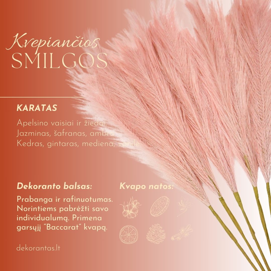 Kvepiančios Dekoratyvinės Pūkuotos Smilgos