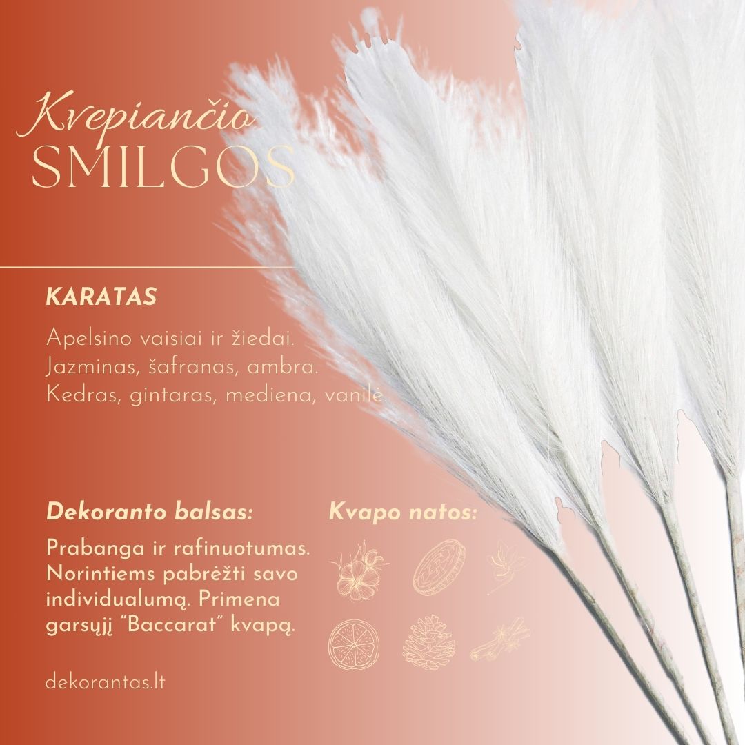 Kvepiančios Dekoratyvinės Pūkuotos Smilgos