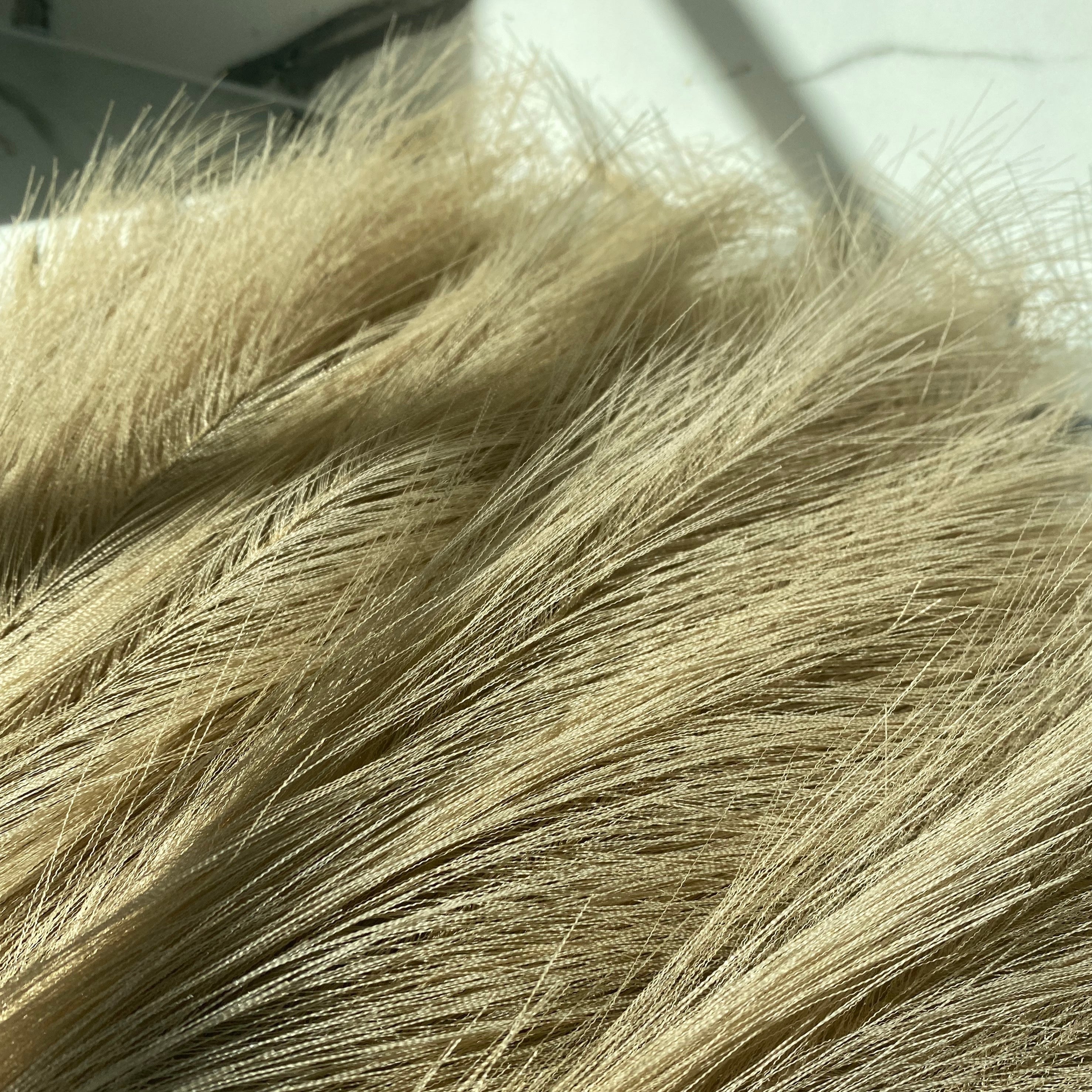Dekoratyvinės Pūkuotos Smilgos - Plume Pampas
