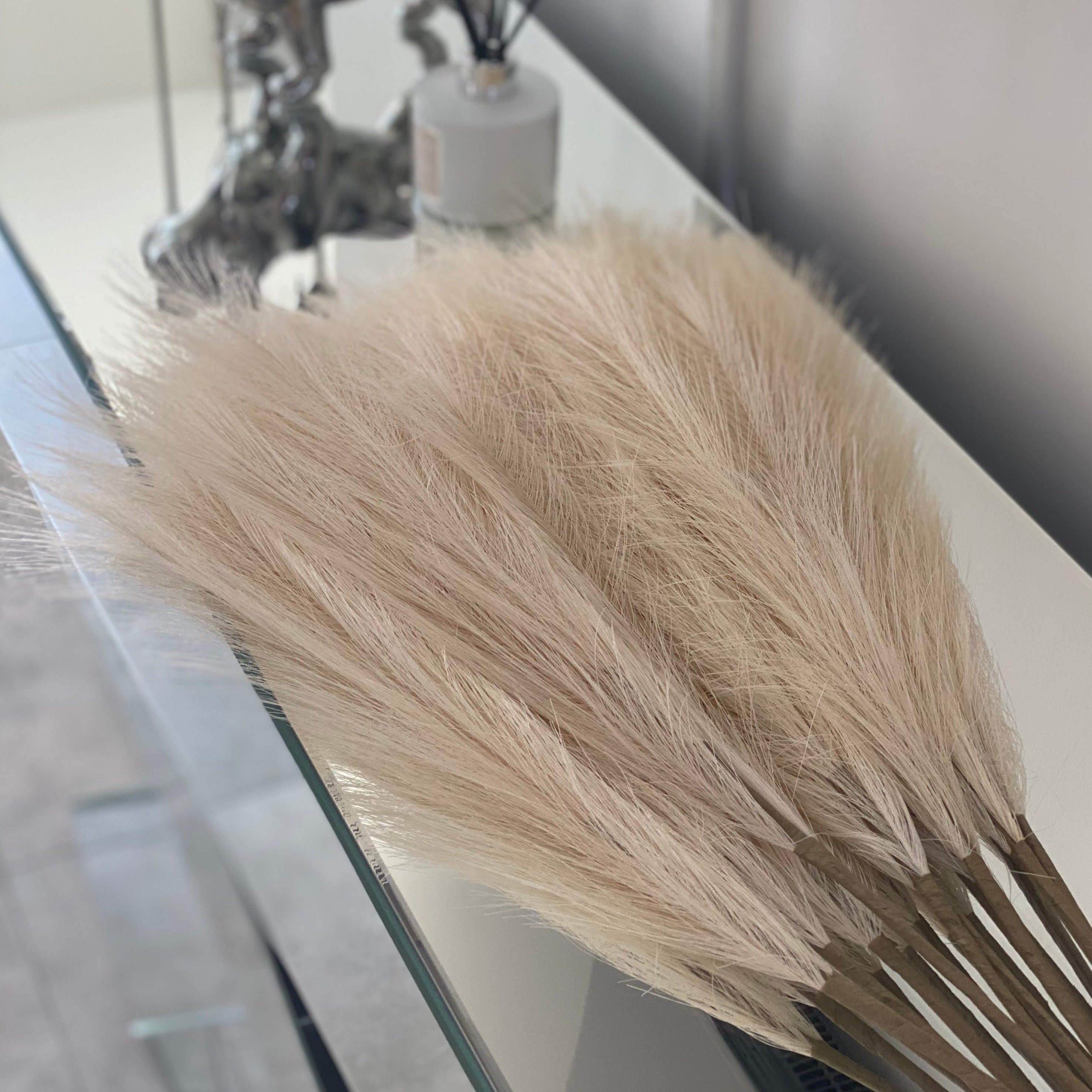 Dekoratyvinės Pūkuotos Smilgos - Plume Pampas