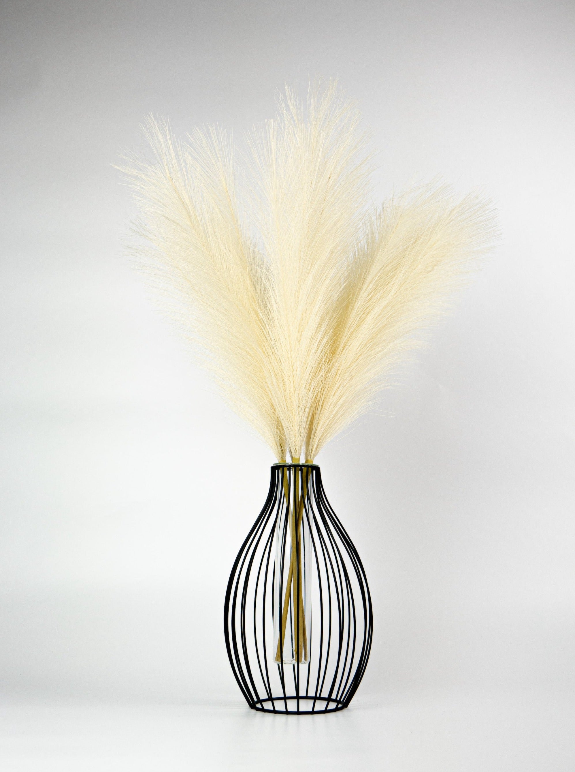 Dekoratyvinės Pūkuotos Smilgos - Plume Pampas