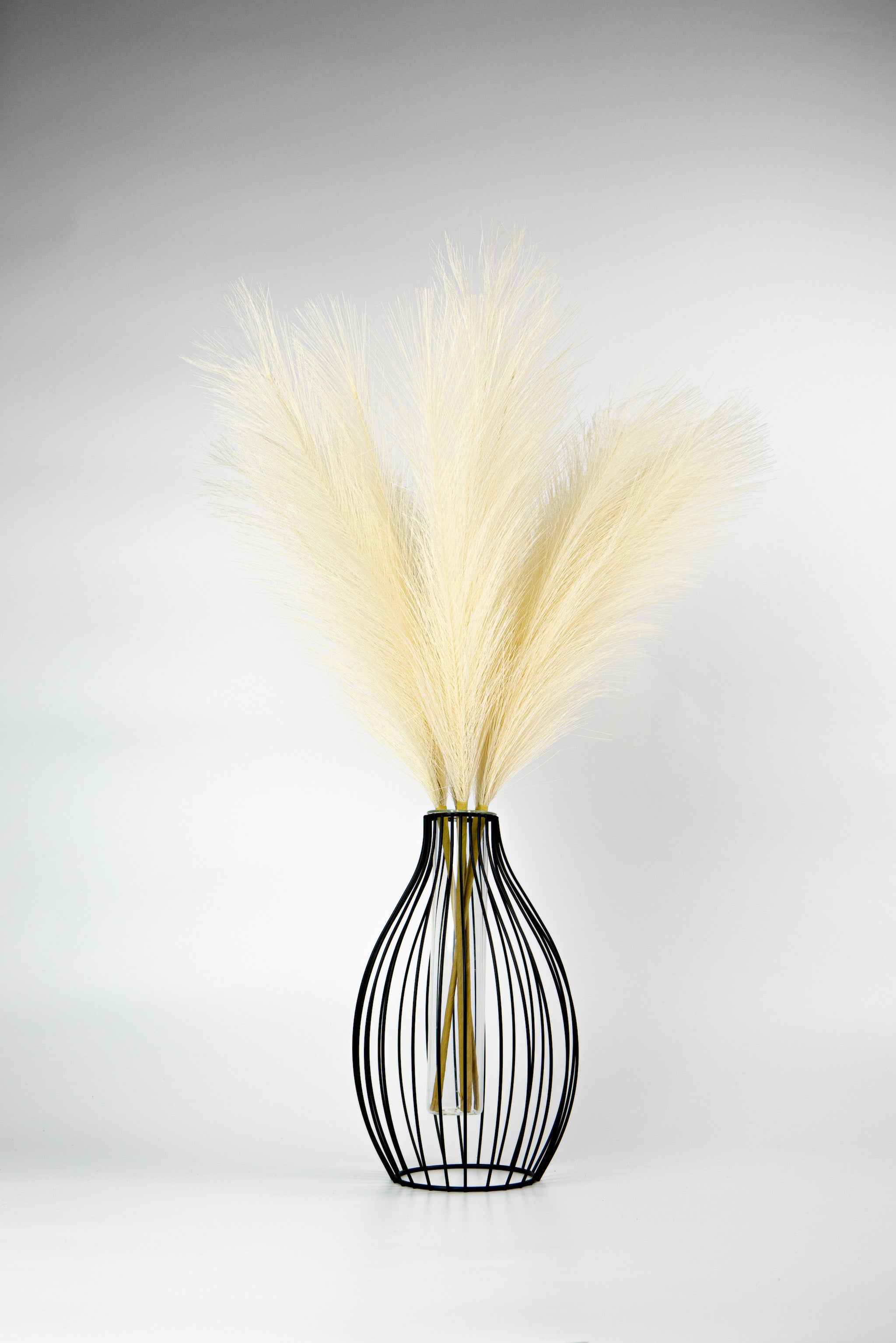 KREMINĖS SPALVOS | Pampas Plume - Pūkuotos Smilgos