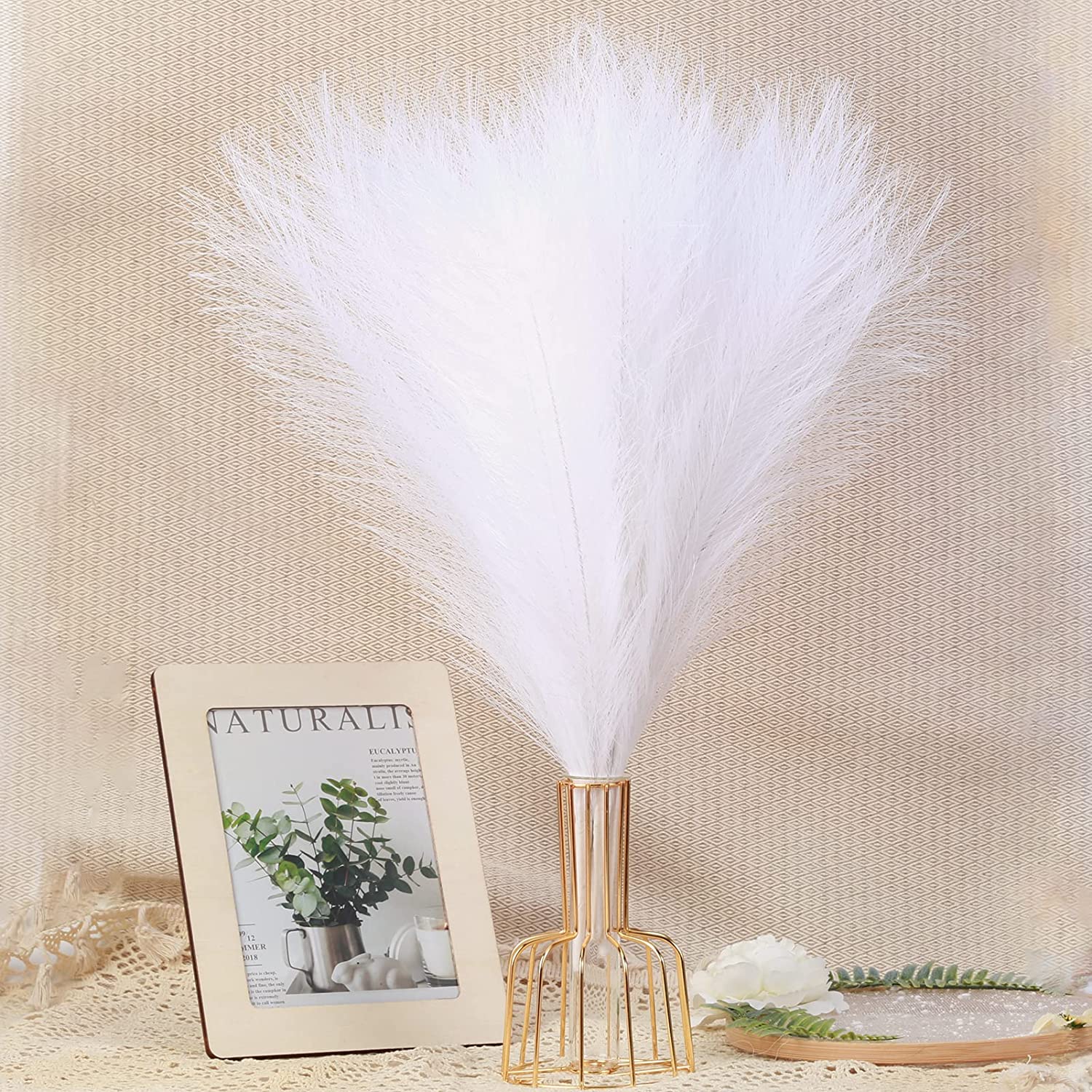 BALTOS SPALVOS | Pampas Plume - Pūkuotos Smilgos
